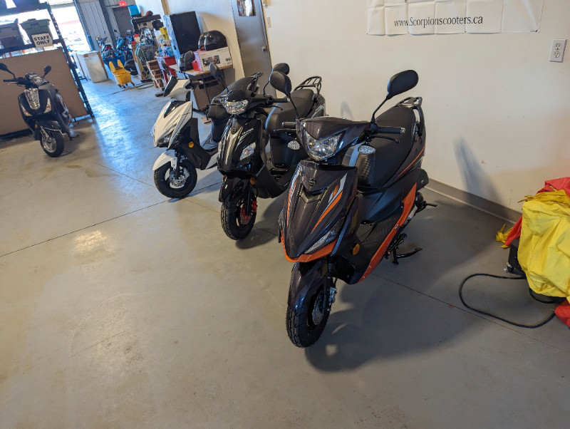 JJ Scooters Has New Scorpion Scooters in stock | Scooters & Pocket ...