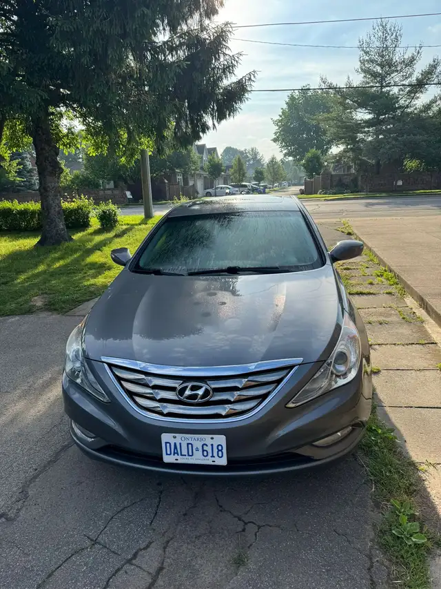 car for sale63735886081281120