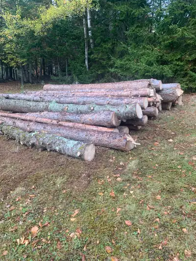 Red Pine logs, View more