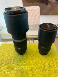Deux objectifs ( 800 et 600) Canon RF.: 1 500 $