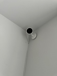 Google Nest IQ Cameras