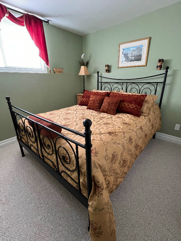 Oversized Queen Comforter Set in Bedding in Napanee