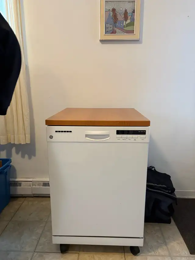 lave vaisselle sur roulettes  in Dishwashers in Trois-Rivières - Image 7