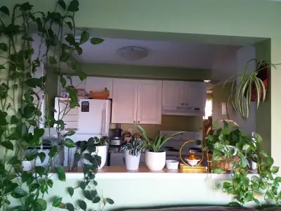 Single Room for Rent in Barrie for Girls - near RVH/Georgian