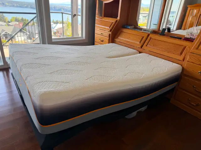 Adjustable Split Queen Bed Plus Accessories456001012735692801