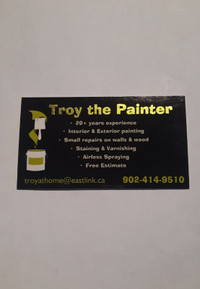 Troy the Painter, painting & small renovations