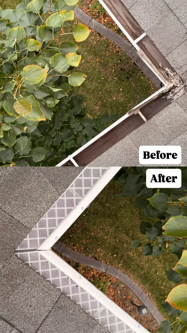 Gutter Cleaning & Downspout Services64639723544963122
