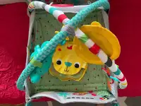 Bright Starts - Baby Activity Gym with Ball Pit