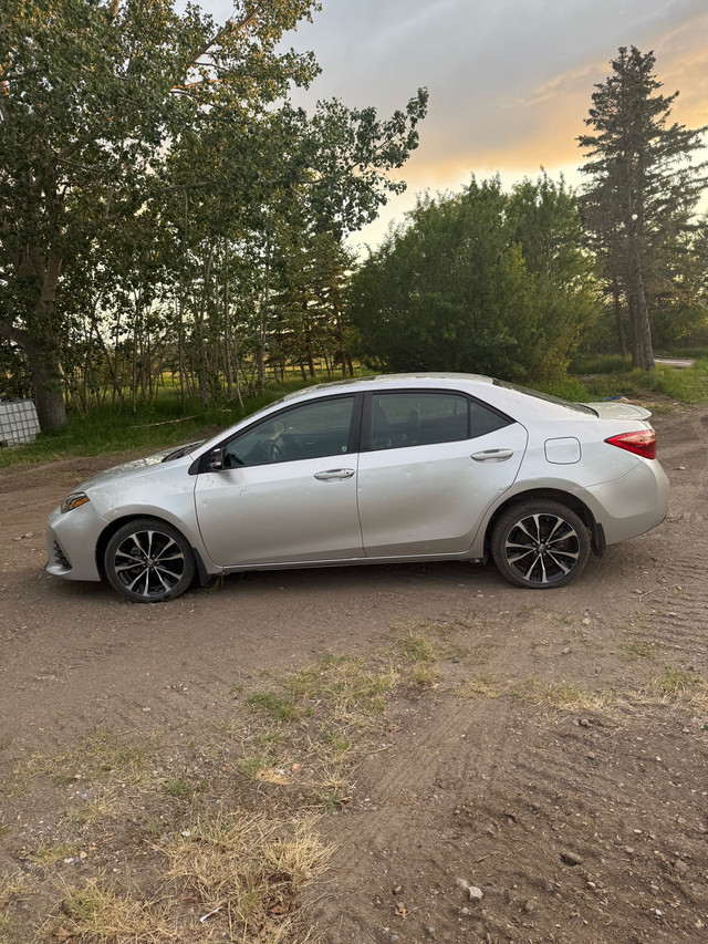 2019 Toyota Corolla in Cars & Trucks in Calgary - Image 3