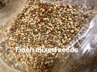 Finch/budgie mixed seeds