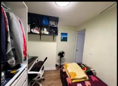 Den for rent