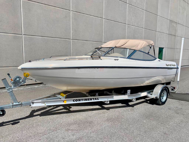 2002 STINGRAY 190 LS in Powerboats & Motorboats in Ottawa - Image 2
