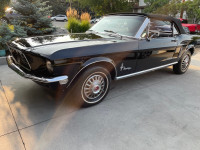 1968 Ford Mustang Convertible | rotisserie resto | Orig Owner