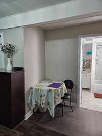 Furnished bachelor basem apartm/private entrance and bathroom 