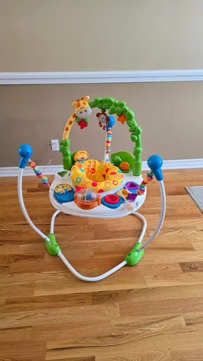 Fisher Price Jumperoo, View more