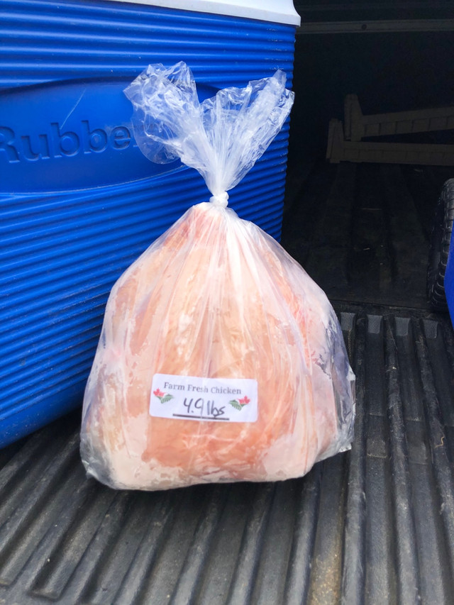 Farm fresh chicken for sale in Livestock in Fredericton