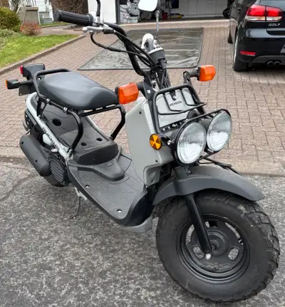 Honda Ruckus 2022 - 6709km