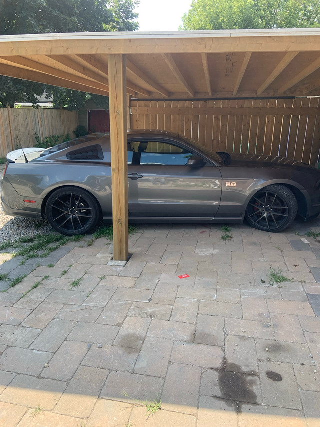 2011 gt mustang 6 speed  in Cars & Trucks in London