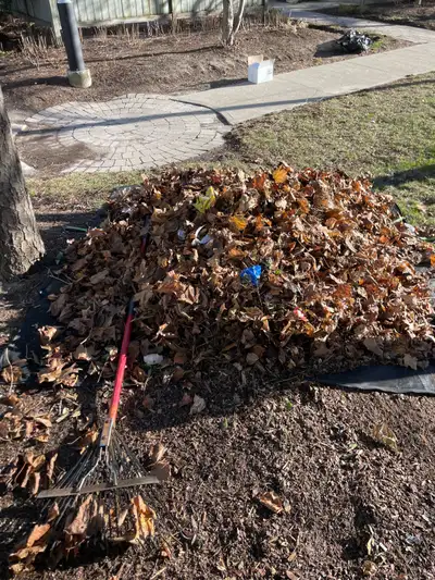 Ground maintenance worker looking for cash job, View more