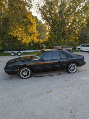 1981 Mercury Capri Black Magic