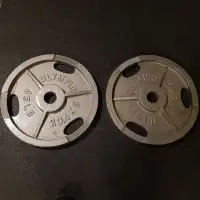45 lbs Olympic Tri-Grip Plates