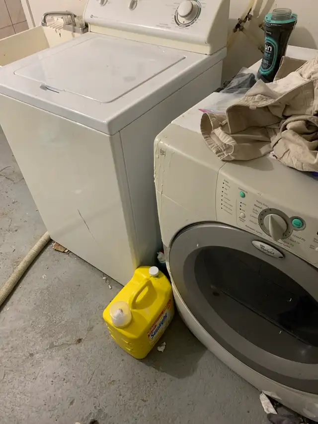 Scarborough Upper 2nd floor beautiful room for rent in Room Rentals & Roommates in City of Toronto - Image 8