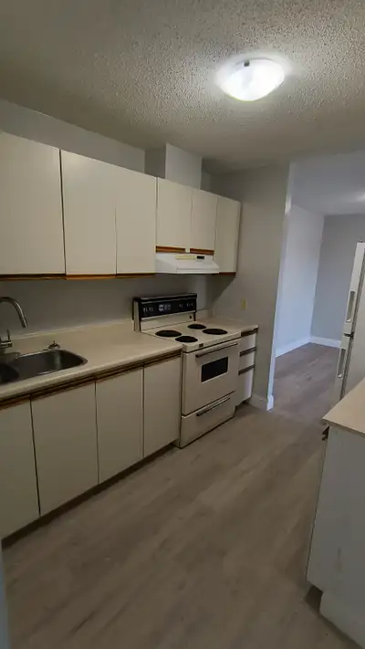 Two Bedroom apartment available now & November in Minnow Lake area. Fridge and stove, parking and ut...