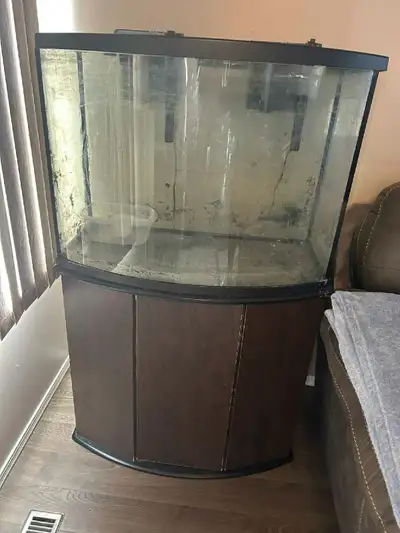 Bowfront Aquarium , View more