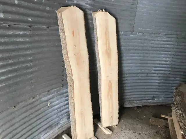 Live Edge Lumber -  HUGE OAK slabs - CEDAR available. in Hobbies & Crafts in Winnipeg - Image 10