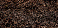 ISO Planting Soil