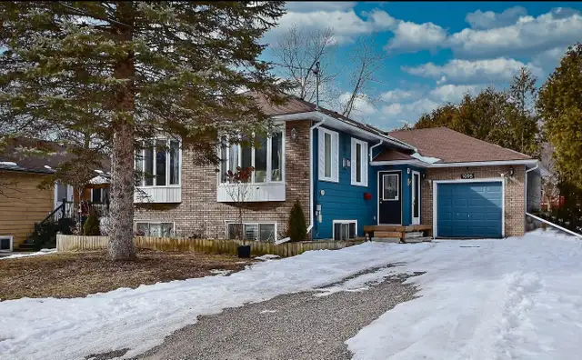 Room for rent  in Long Term Rentals in Peterborough - Image 2