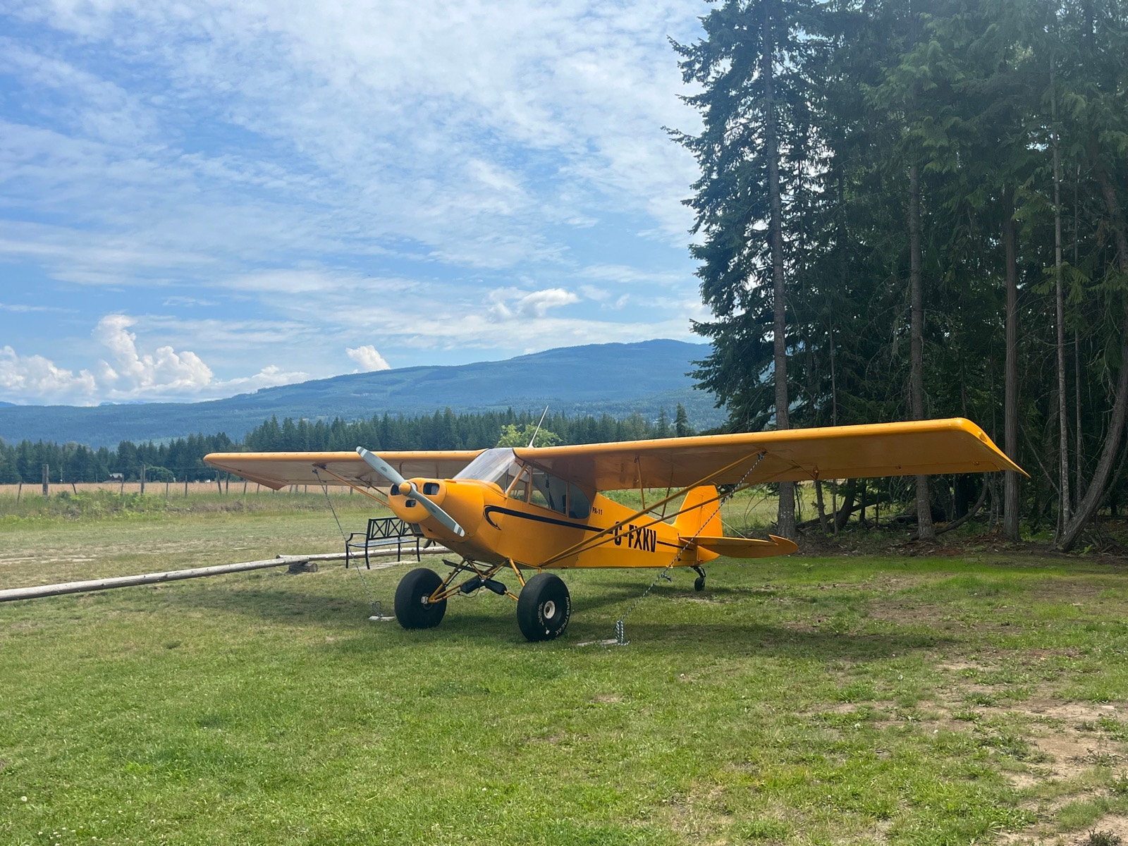 Piper PA11 Cub, photo 1