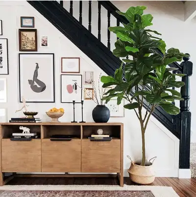 Artificial fiddle Leaf fig tree 6ft tall , 86 decorative faux fiddle leaves Fake Fig Silk tree in po...