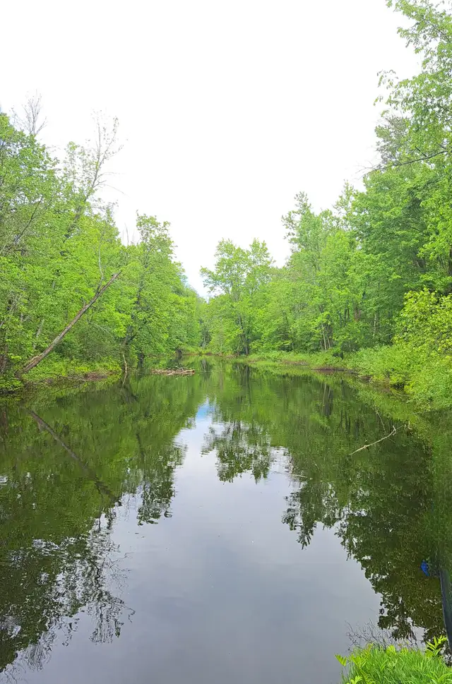 34.86 ACRES  GREEN SPRAWLING LAND WITH FLOWING RIVER HYDRO63417674035201121