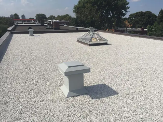 Toiture GOUTTIÈRE infiltration réparation64540183633539120