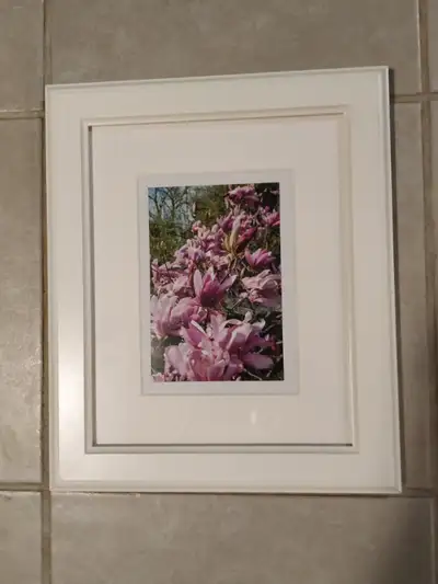 Picture flame brand new (13x11), View more