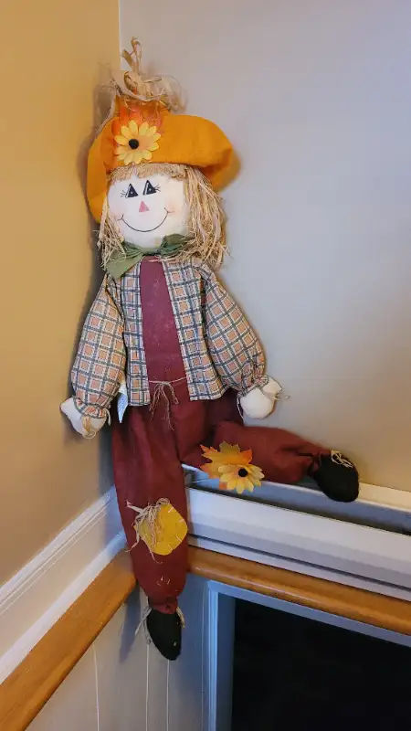 autumn decoration in Holiday, Event & Seasonal in Bathurst - Image 8