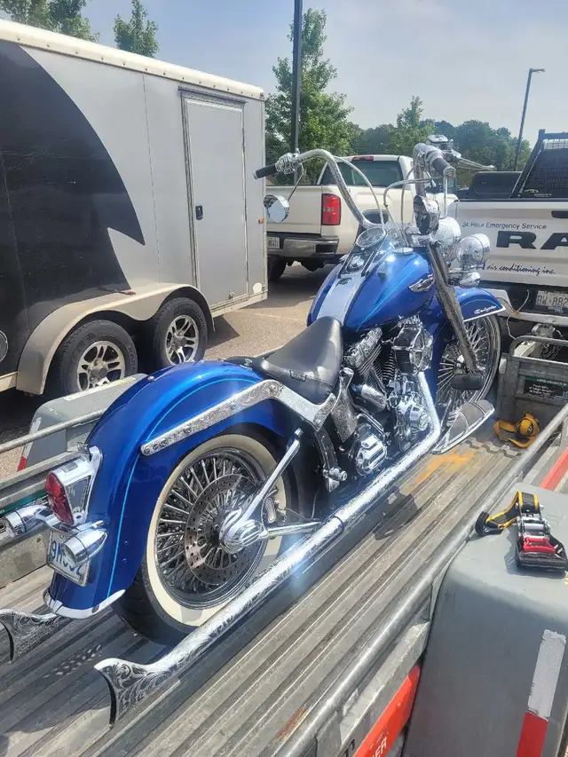 2010 Harley Davidson Softail Deluxe in Street, Cruisers & Choppers in Kitchener / Waterloo - Image 3