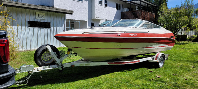 20' Campion cuddy in Powerboats & Motorboats in Hope / Kent