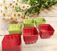 Excellent condition plastic reusable fruit containers 