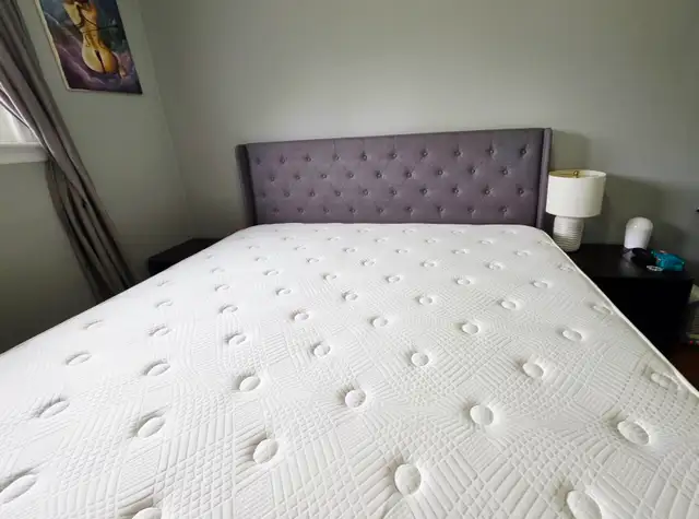 Free Bedframe with BedStory King Mattress Purchase! in Beds & Mattresses in City of Toronto - Image 3