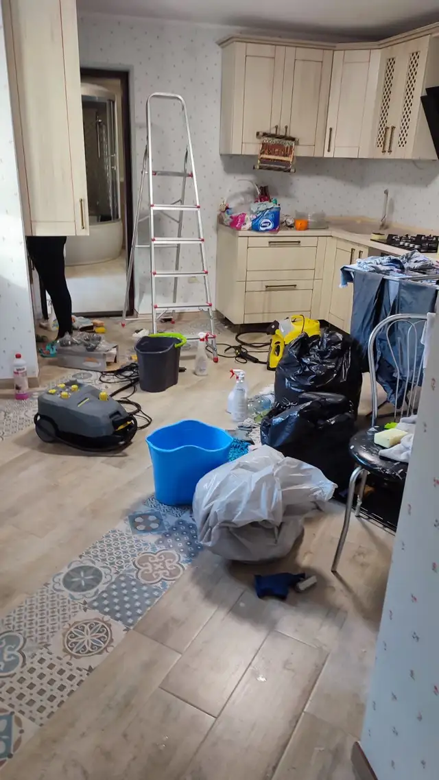 Cleaning 65183691053569123
