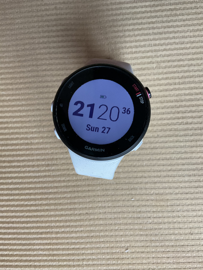 NEW GARMIN Forerunner 45S sports smartwatch, View more