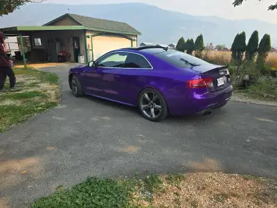 Trade for truck , jeep, nice SUV, This this is crazy fast and loud. Straight piped and tuned. Stage...