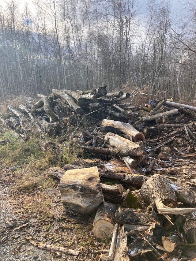 Bois de chauffage mélanger à donner,vous n’avez qu’à le ramasser dans Objets gratuits  à Ouest de l’Île - Image 3