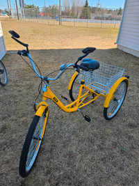 tricycle adulte a vendre
