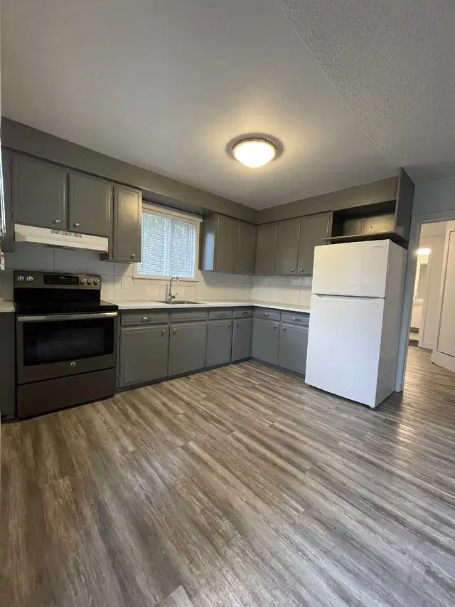 1 bed 1 bath apartment  in Long Term Rentals in Prince Rupert - Image 5