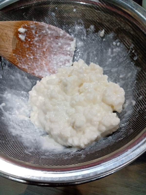 Milk Kefir Grains in Health & Special Needs in City of Toronto - Image 2