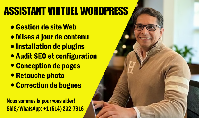 WordPress Virtual Assistant for Your Website463698671971880960