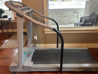 Pace Master Pro-Plus treadmill 